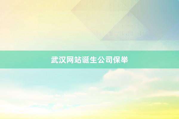 武汉网站诞生公司保举