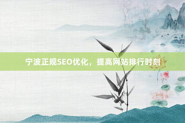 宁波正规SEO优化，提高网站排行时刻