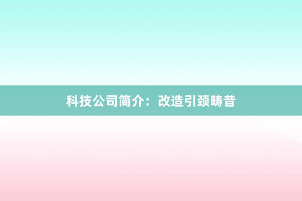 科技公司简介：改造引颈畴昔