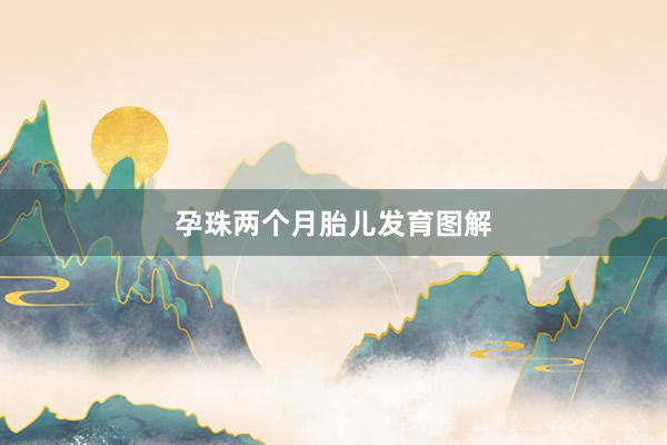 孕珠两个月胎儿发育图解