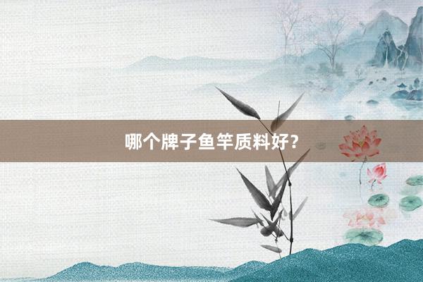哪个牌子鱼竿质料好？