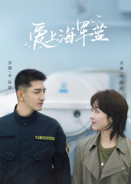 白雪丹心 封面图